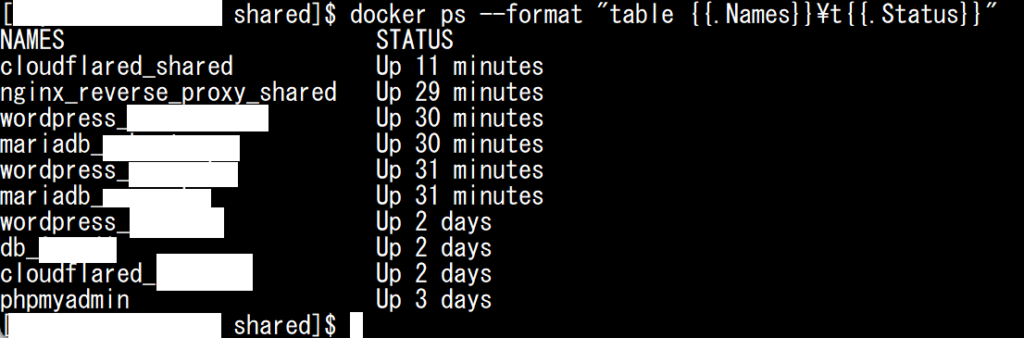 docker ps コマンドで全コンテナの名前と起動状態(Up)を一覧表示したSSH画面